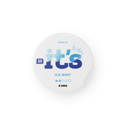 Ice Mint Nicotine Pouch